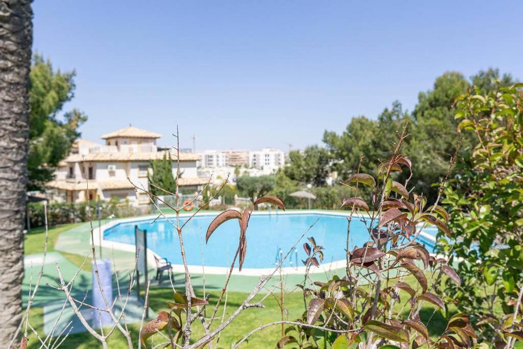 Casa Lilly-Rose, A Beautiful 3 Bedroom Detached Villa A Short Walk To The Villamartin Plaza & Golf Course エクステリア 写真